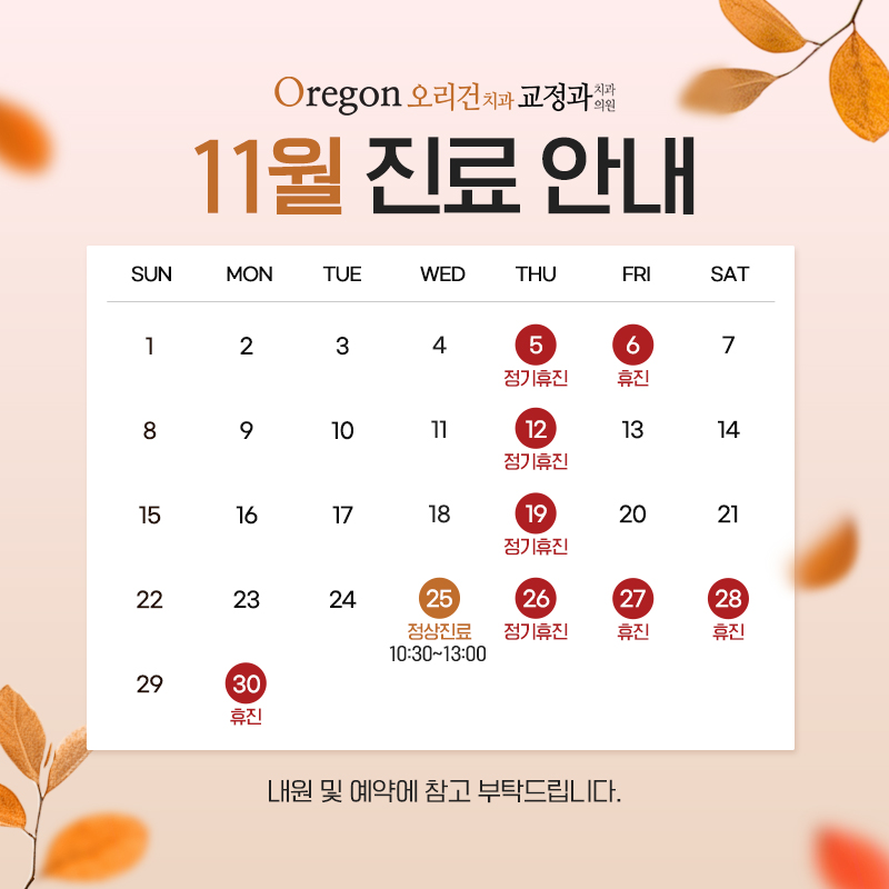 11월 진료안내